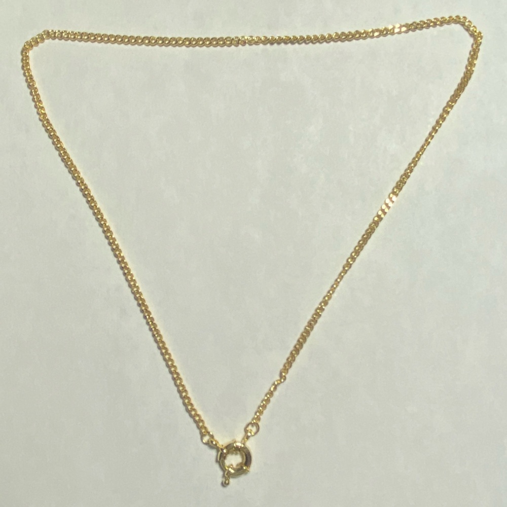 Gold Chain Necklace with Large Spring Ring Clasp